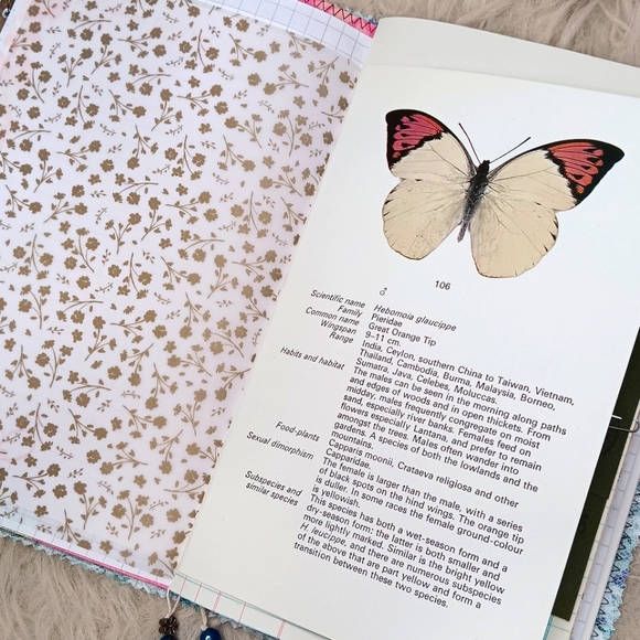 Rustic Farmhouse Junk Journal A - Picture 6 of 12